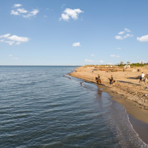 a beach with people on it