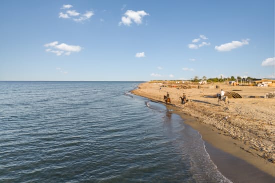 a beach with people on it