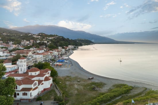 a beach with buildings and trees