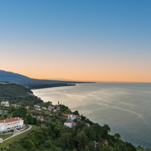 a beach with houses and trees