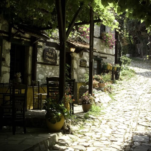 a path with chairs and plants on it next to a building