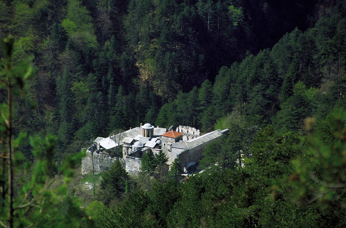 a white house surrounded by trees