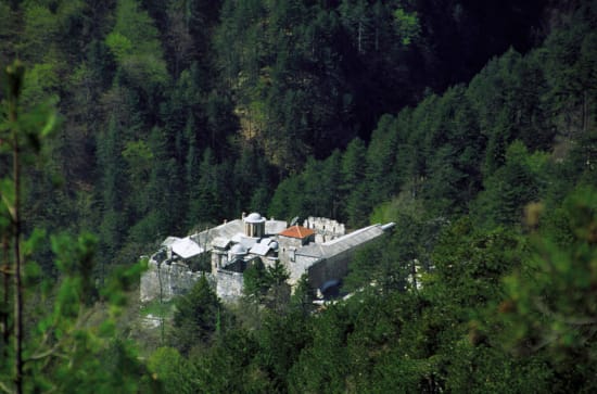 a white house surrounded by trees