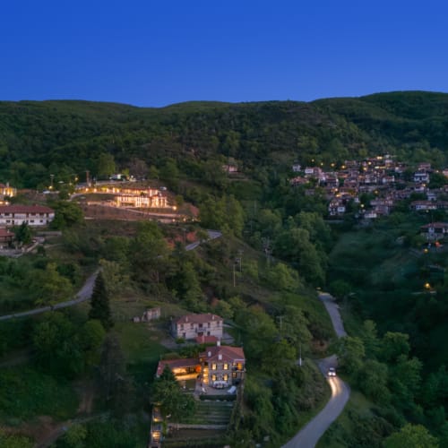 a city with trees and buildings