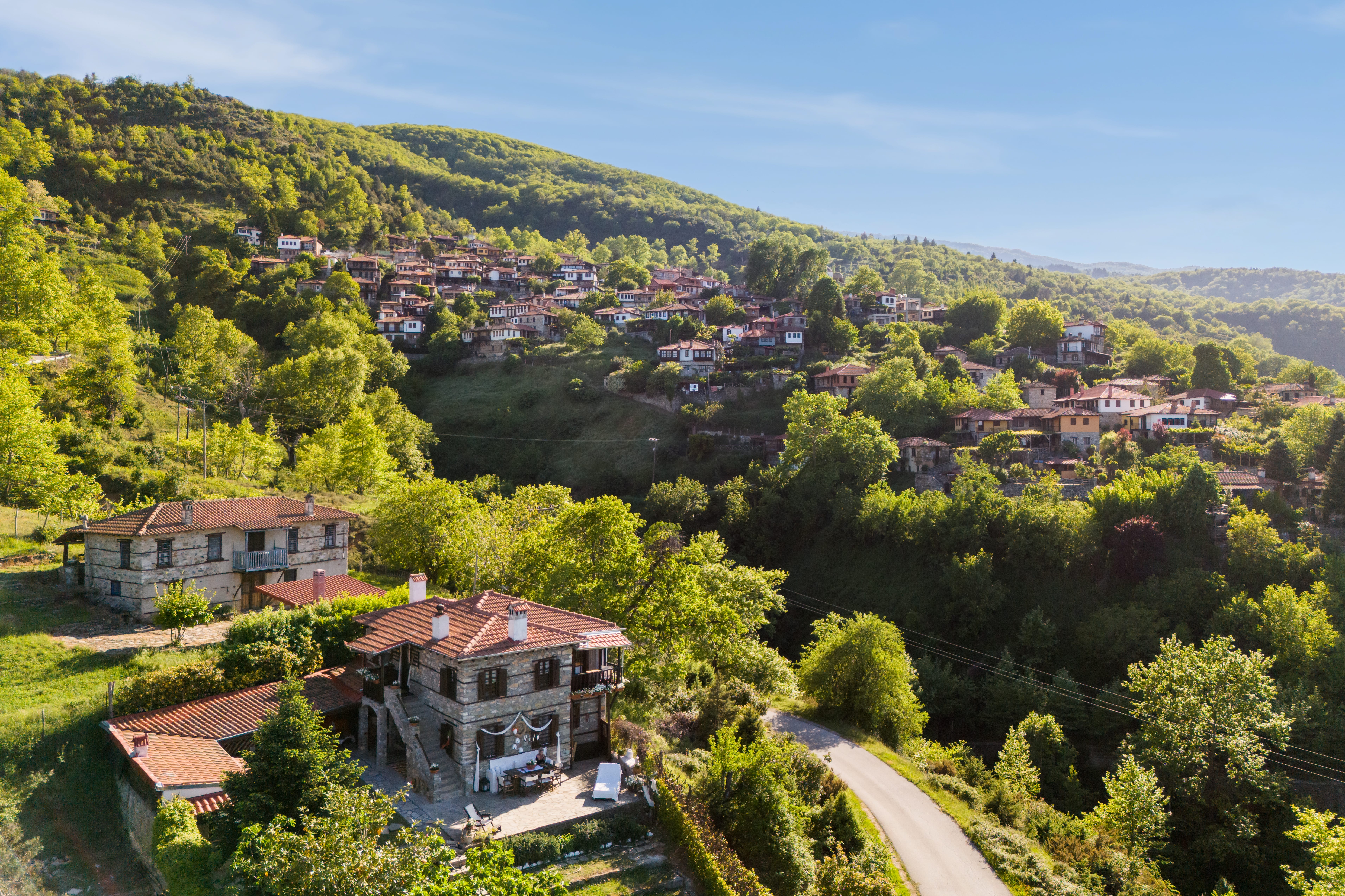 a road and houses in a wooded area
