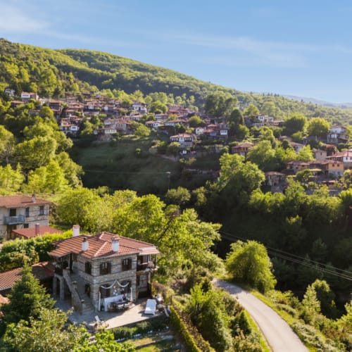 a road and houses in a wooded area