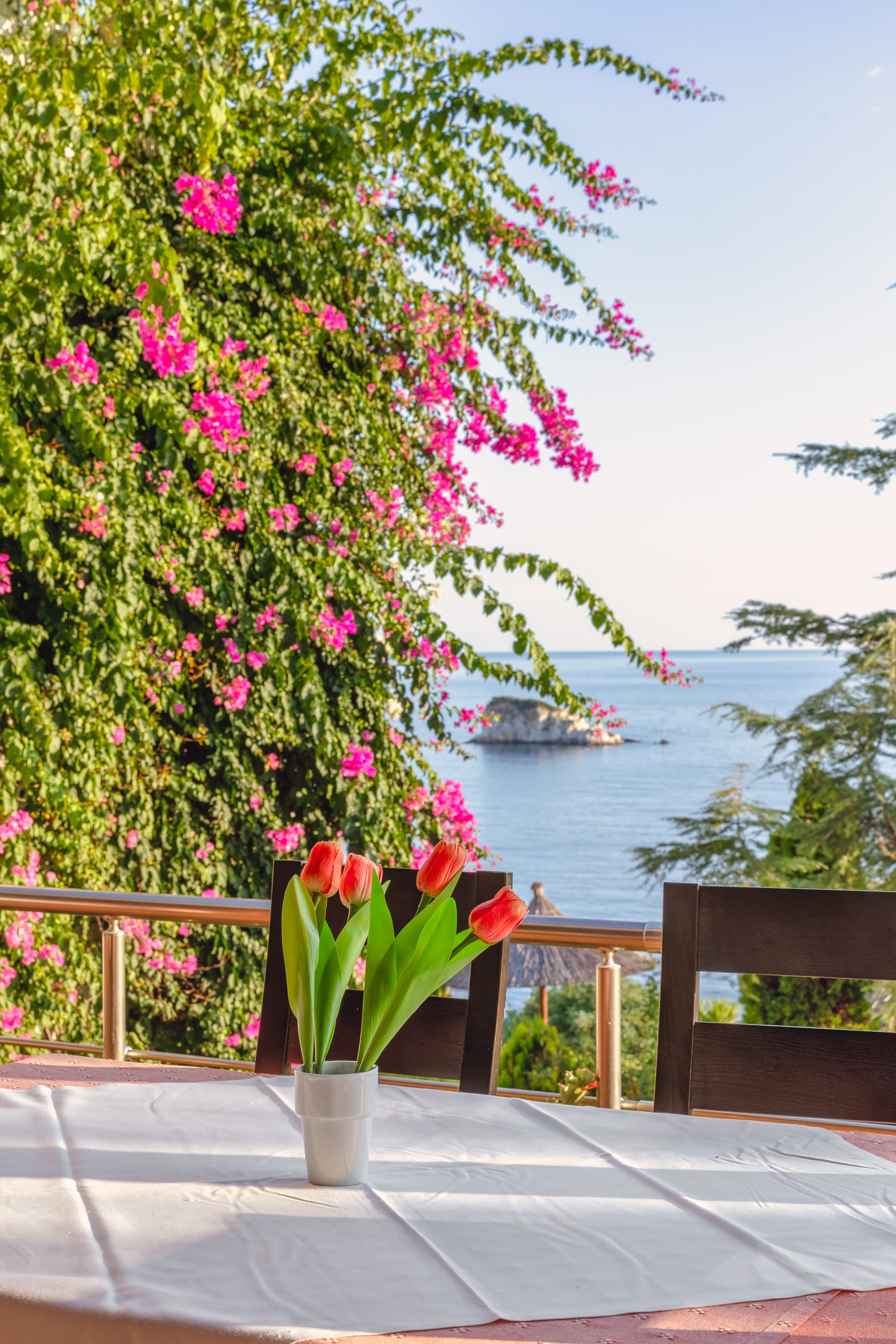 a tree with pink flowers