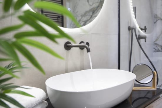 a bathroom with a sink and a plant