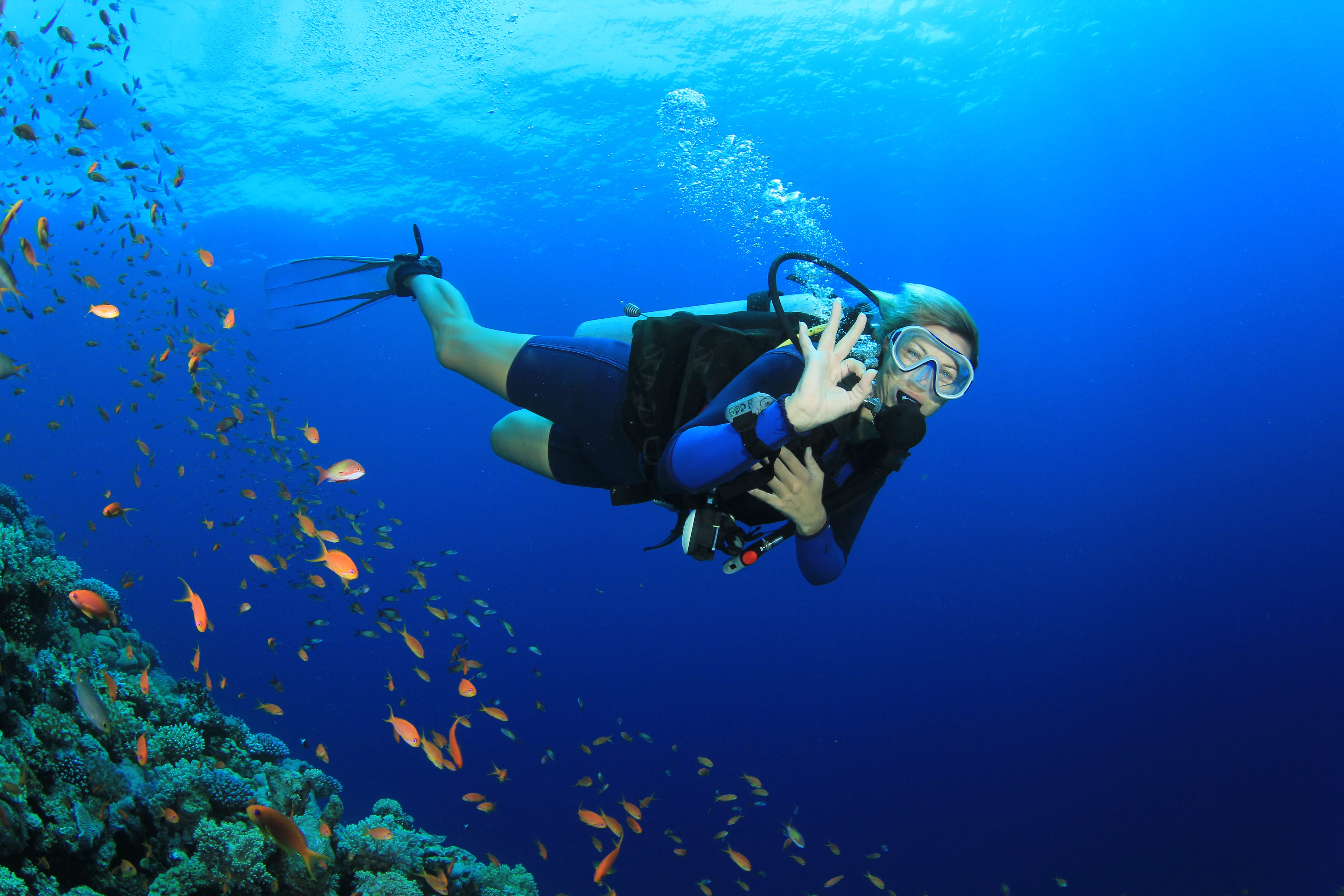 a person in scuba gear underwater