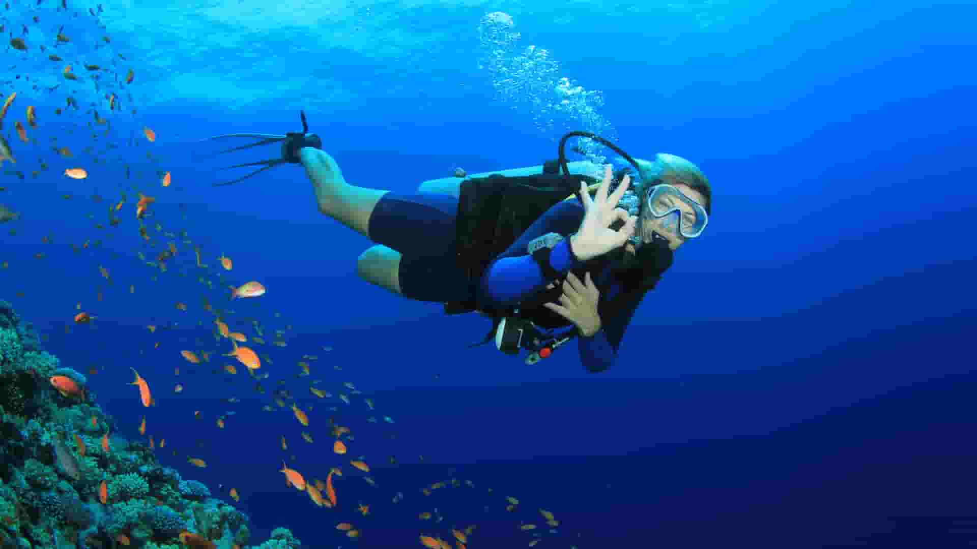 a person in scuba gear underwater