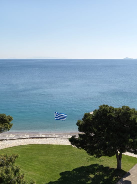 a flag flying over a grassy area