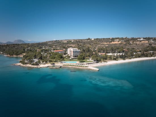 a beach with buildings and trees
