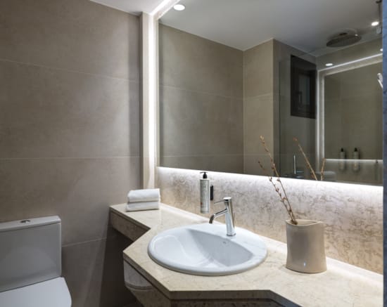 a bathroom with a large mirror