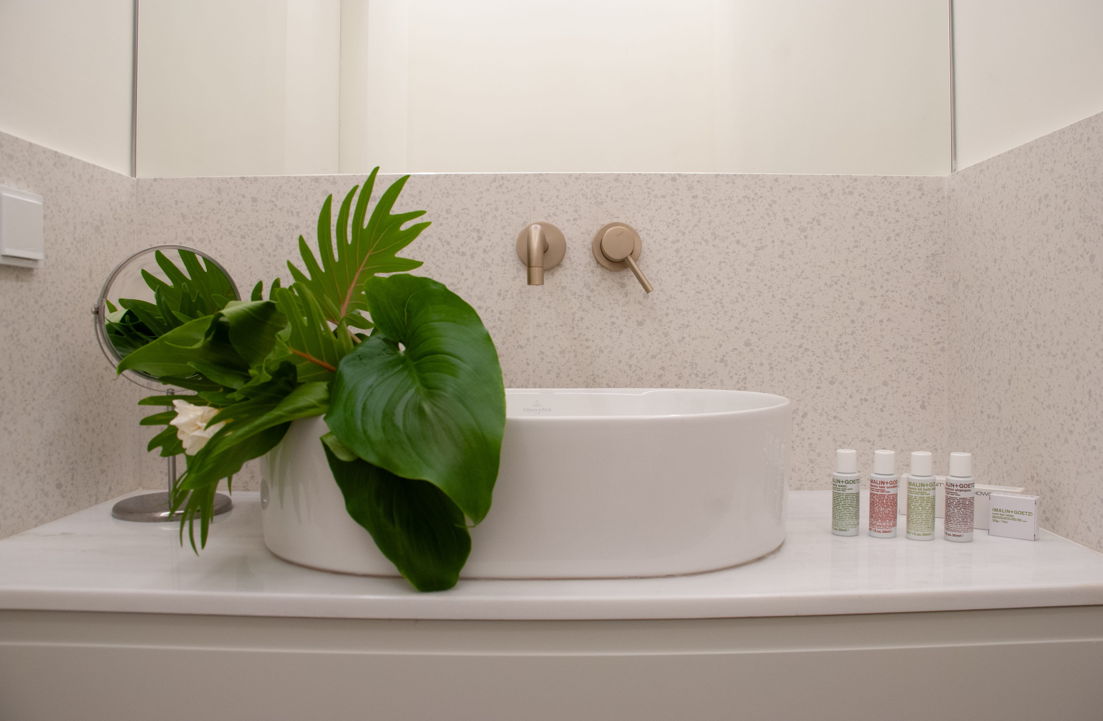 a plant in a white bowl