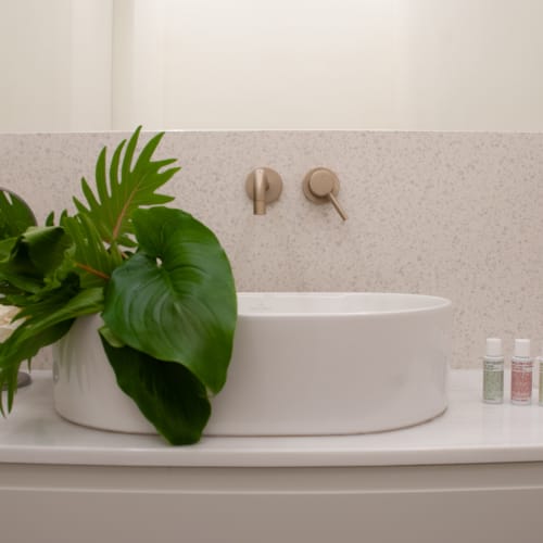 a plant in a white bowl