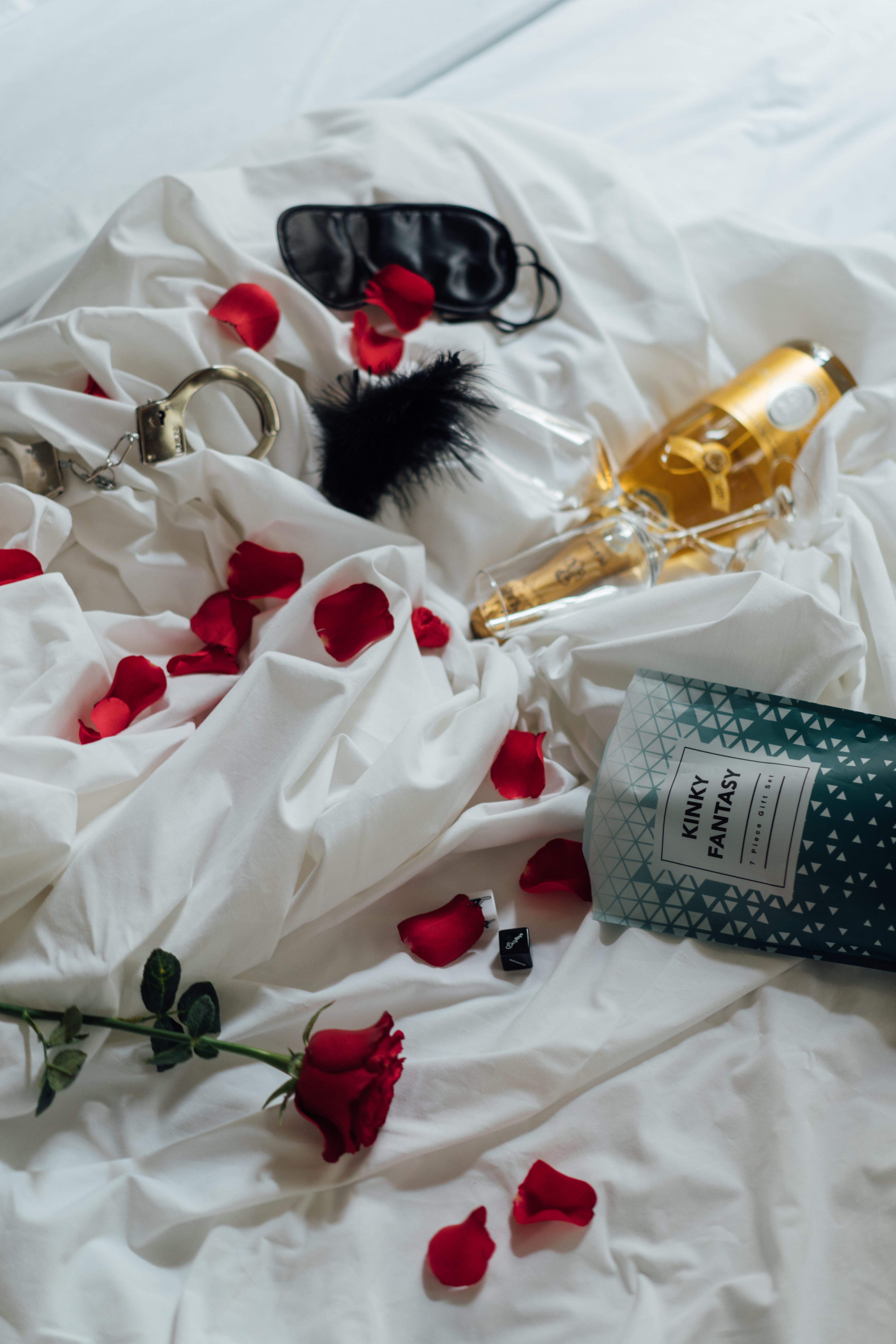 a cat wearing sunglasses