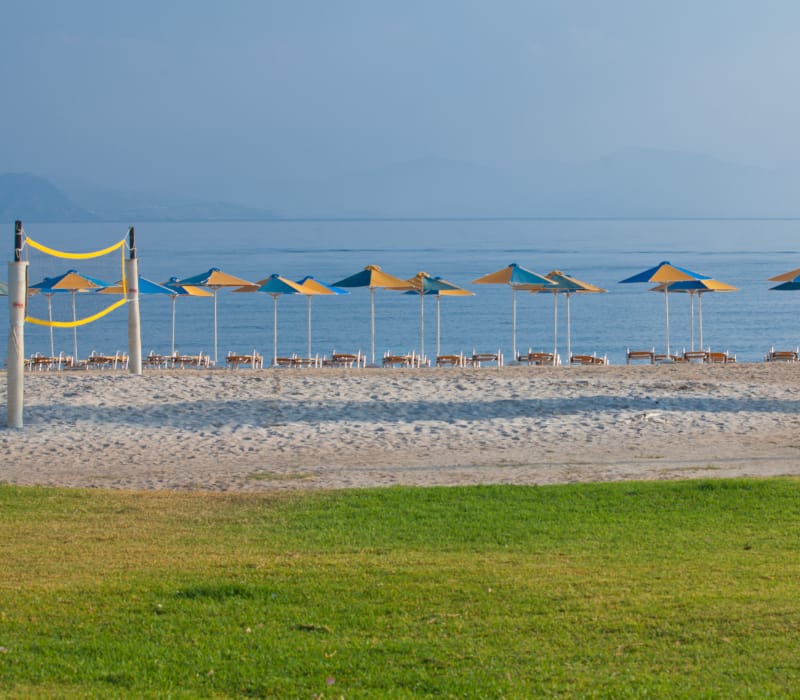 a beach with umbrellas