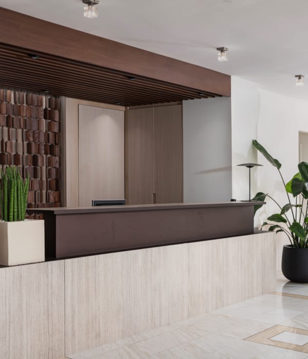 a room with a plant and a counter with a window