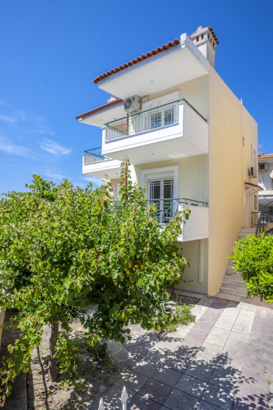 a building with a tree in front of it