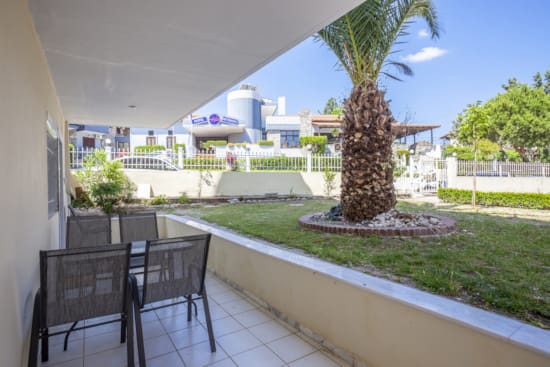 a patio with a palm tree and a pool