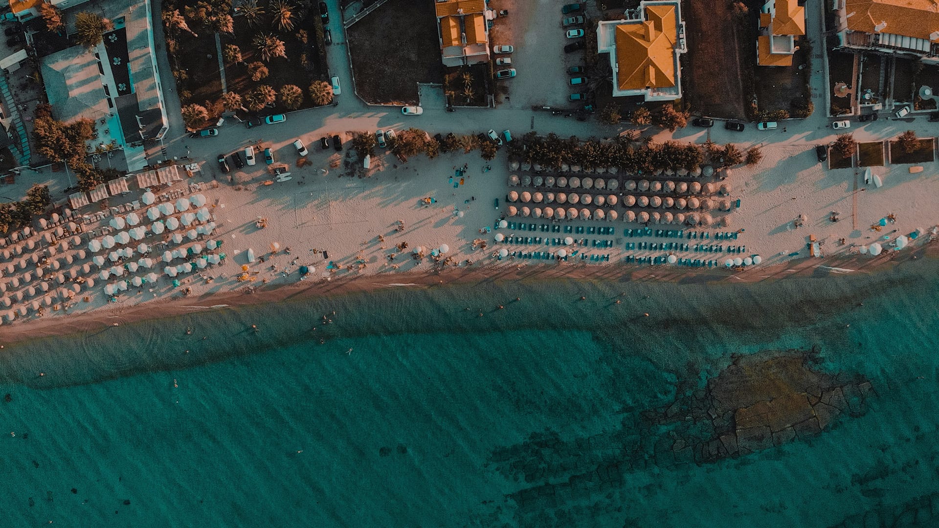 a group of people in a stadium