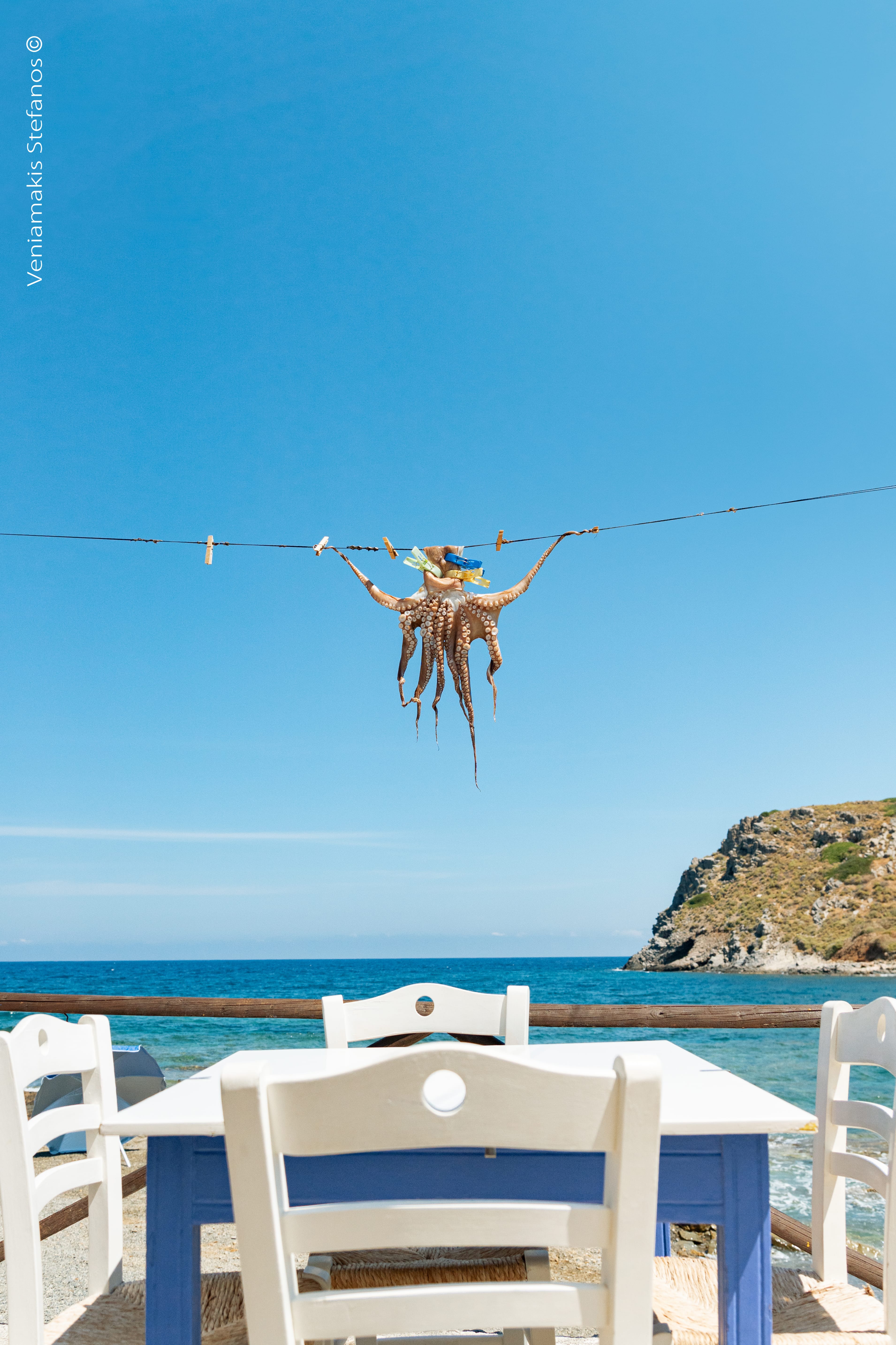 a lobster from a line above a beach
