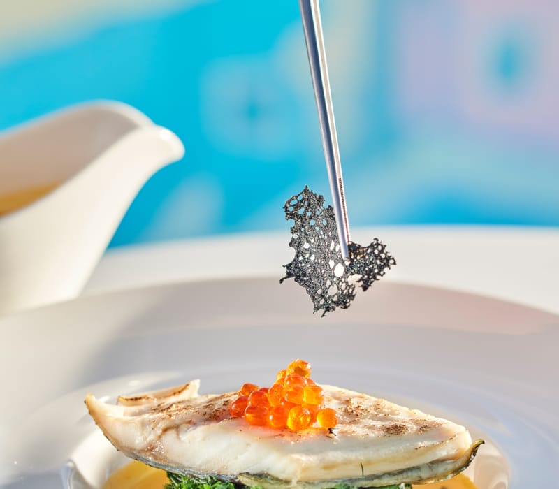 gastronomy-3