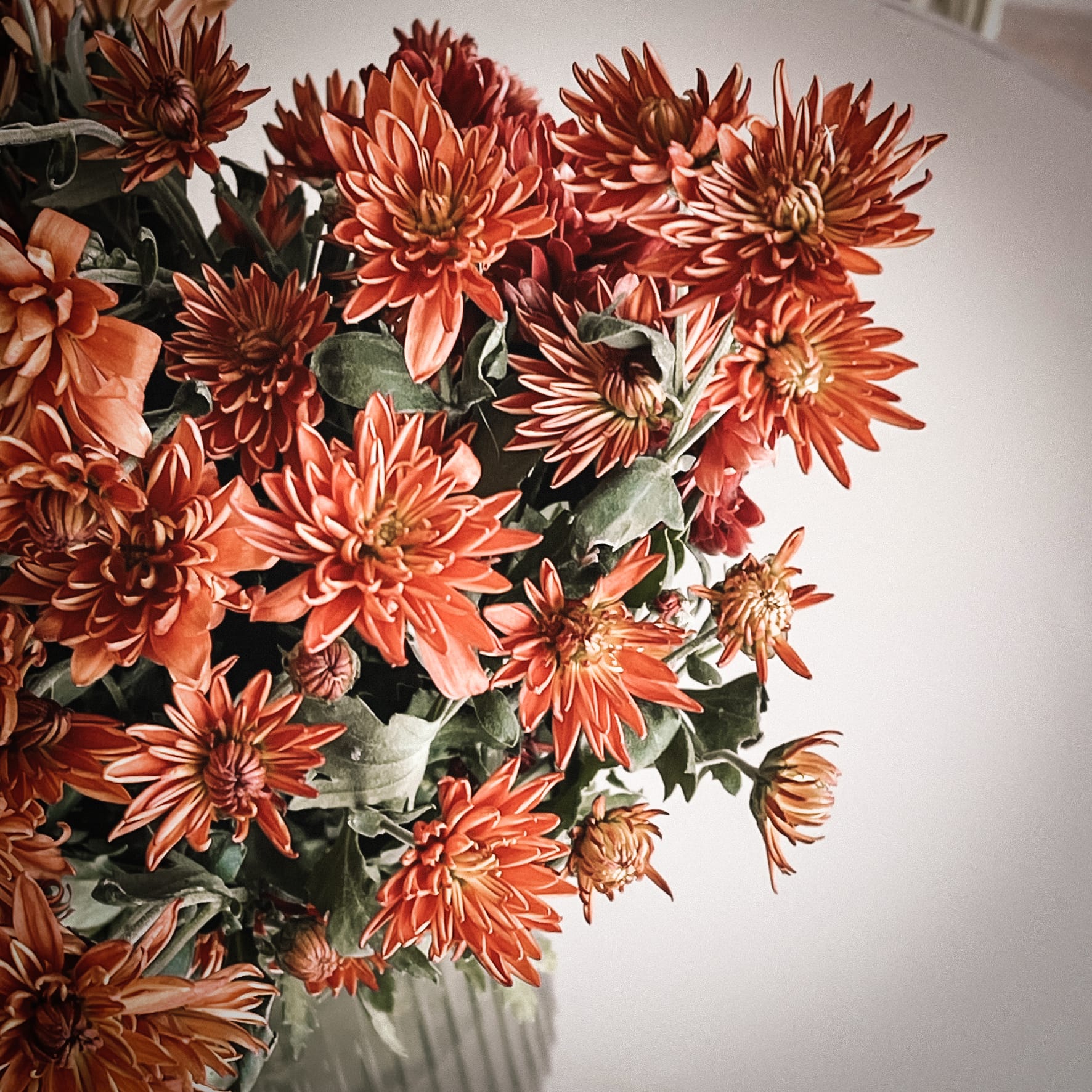 a vase with orange flowers