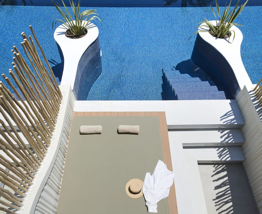 a pool with a deck and a plant on the edge