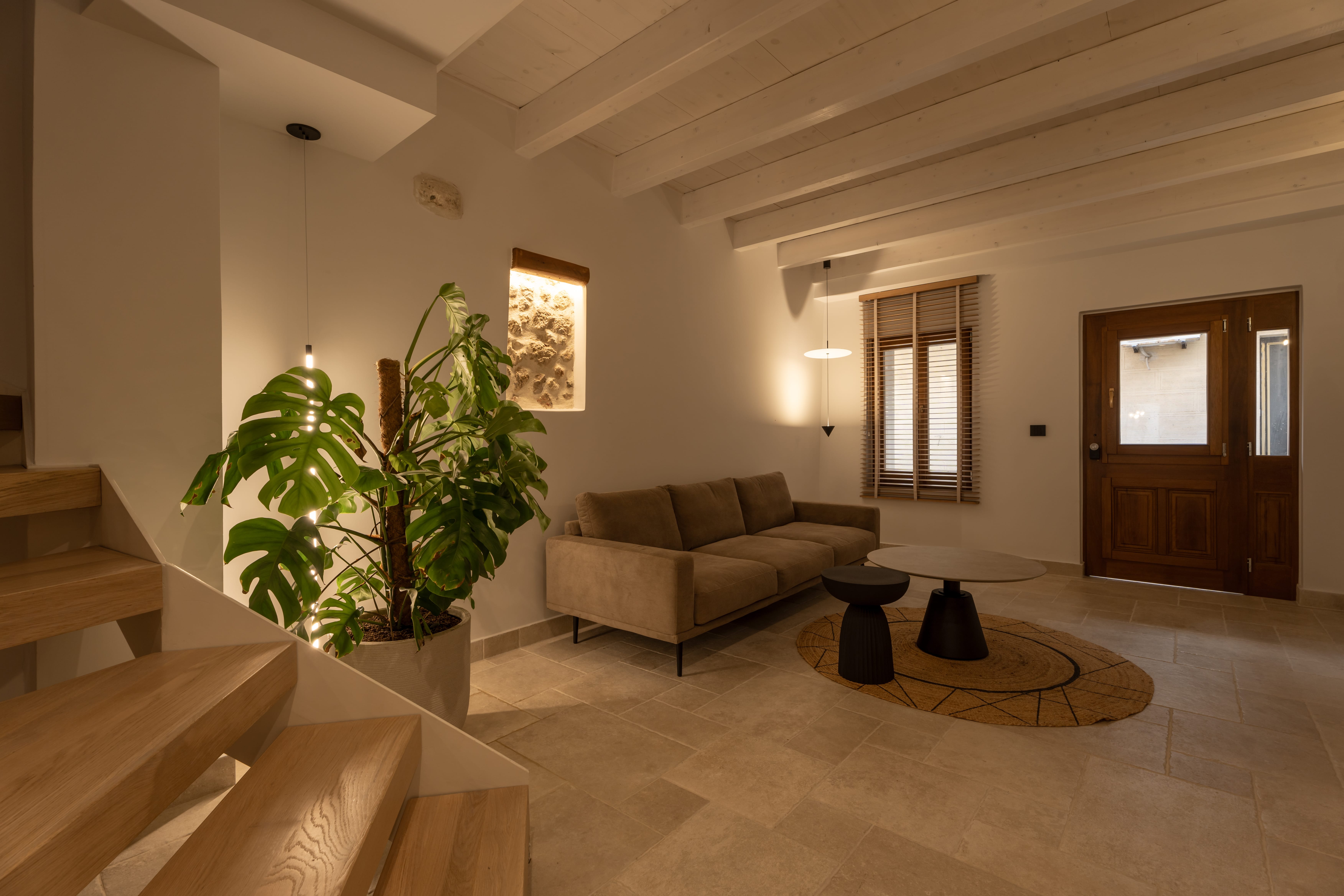 a living room with a couch and a plant