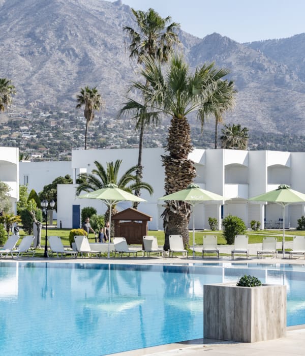 a pool with a mountain in the background