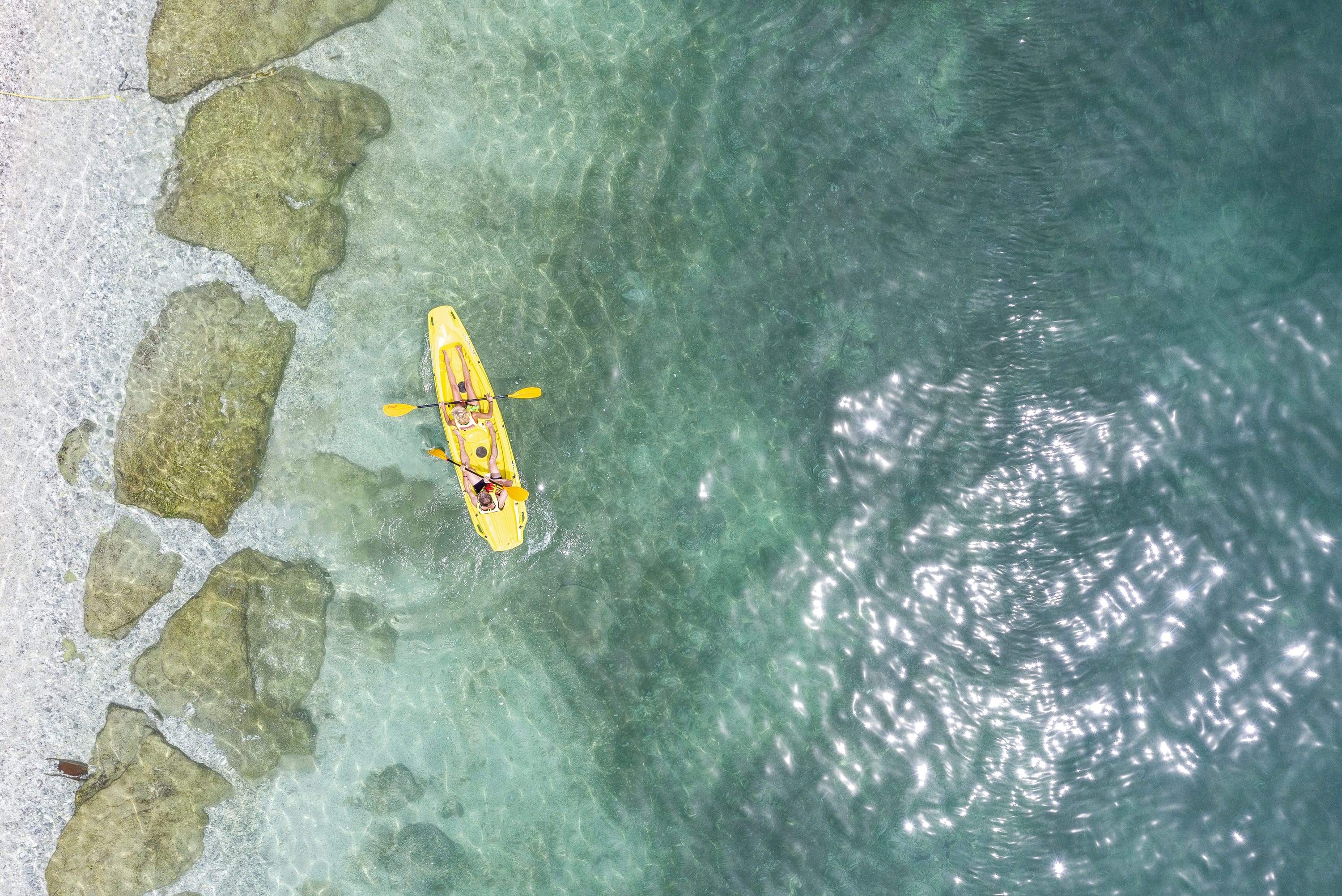 a yellow fish in water