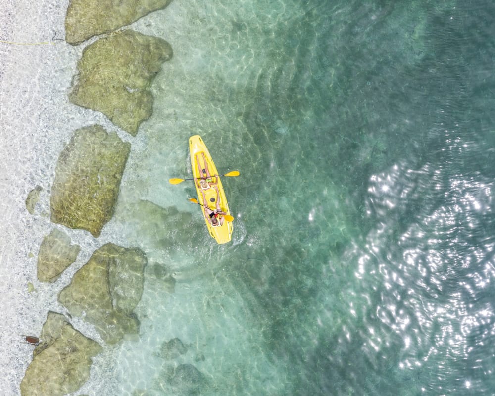 a yellow fish in water