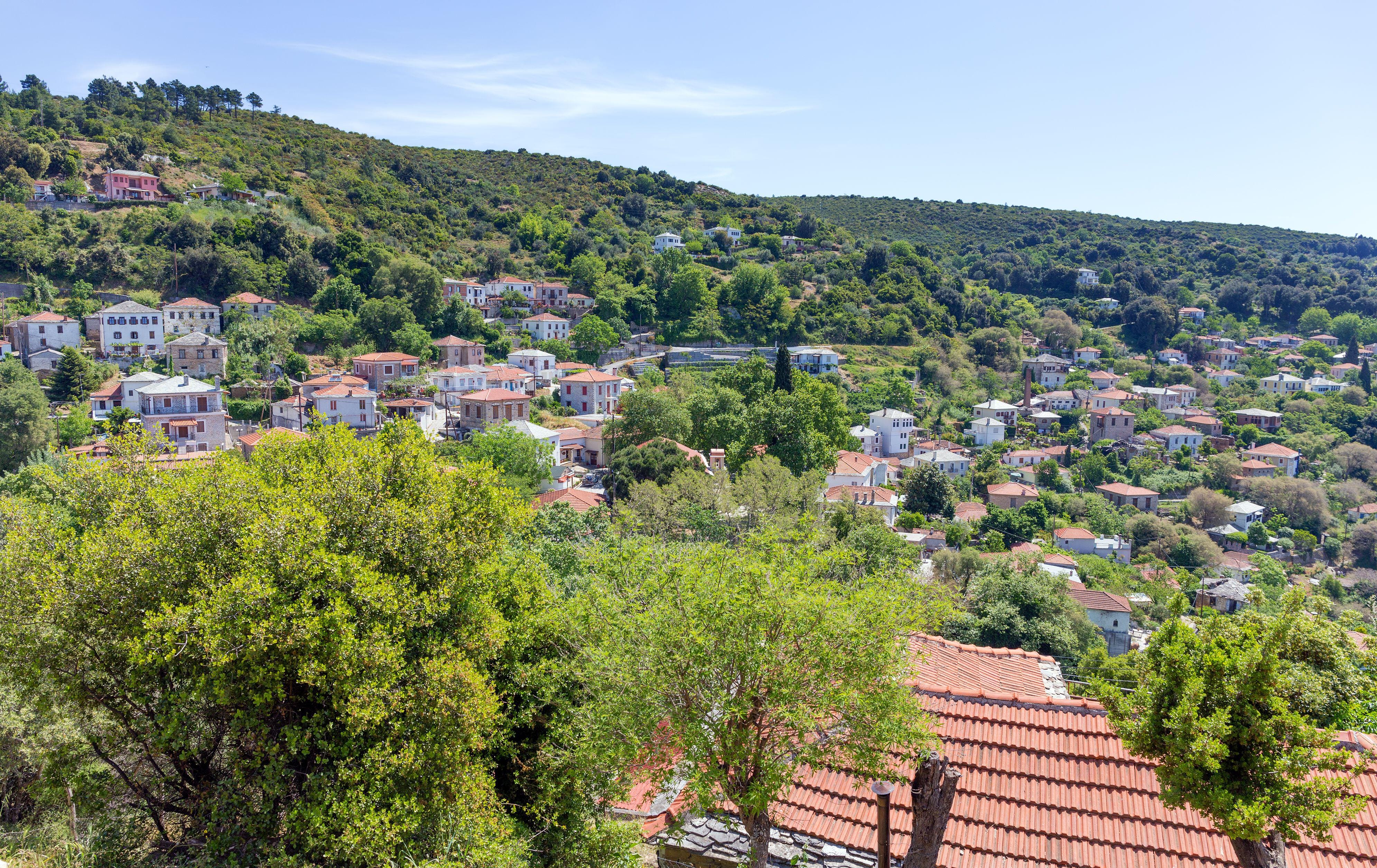a hillside with trees and houses