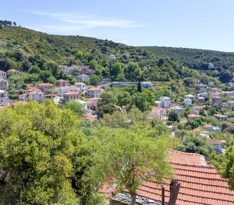 a hillside with trees and houses