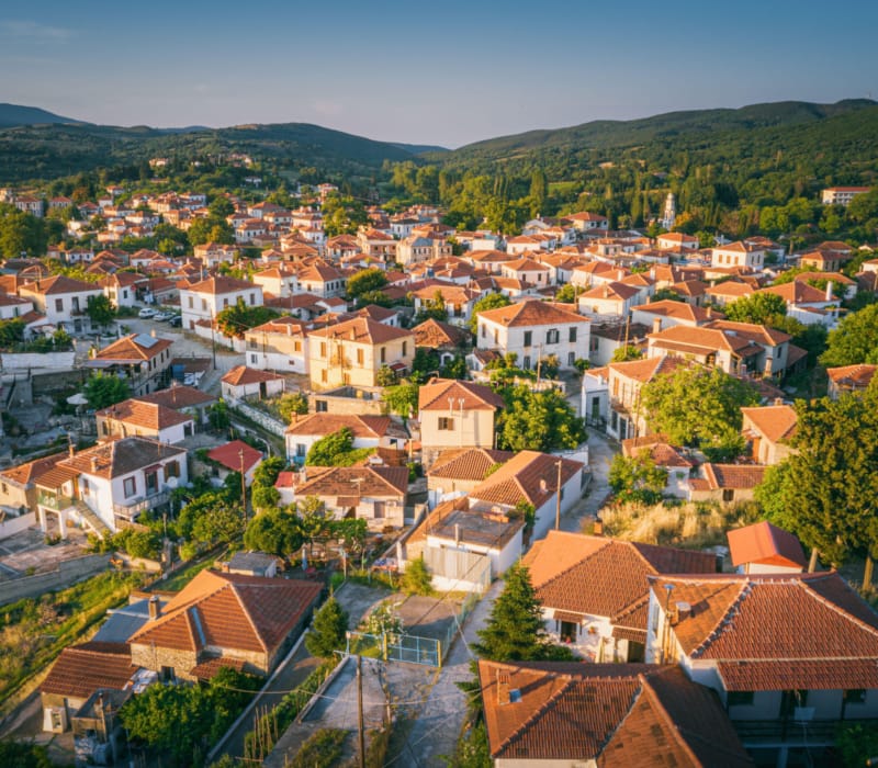 a city with many rooftops