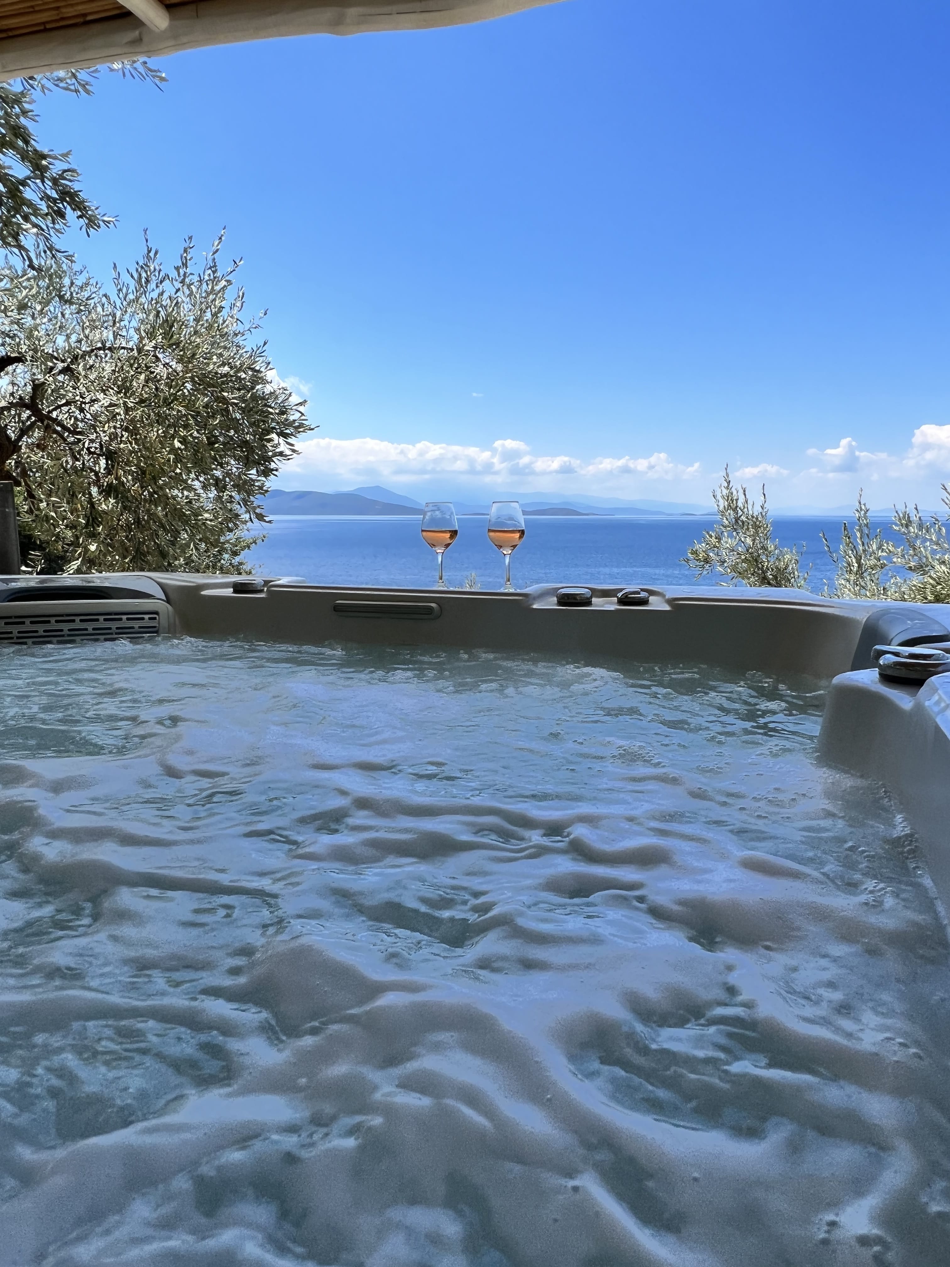 a pool of water with a railing and trees in the background