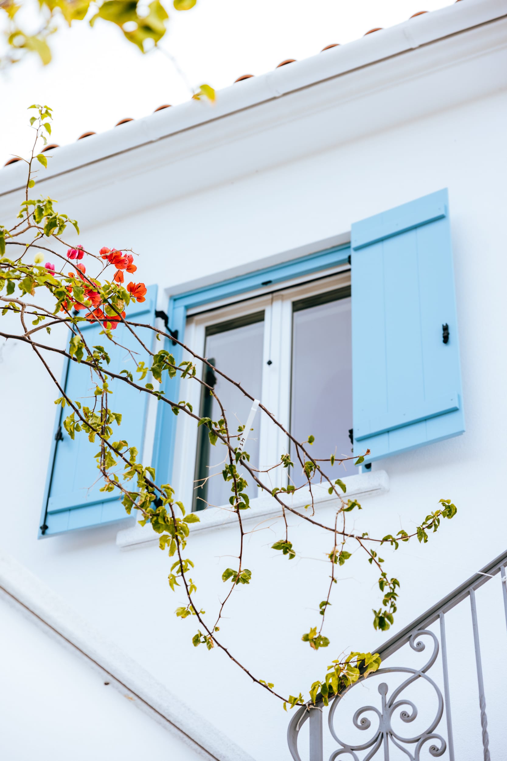 a house with a blue door and a tree with flowers on it