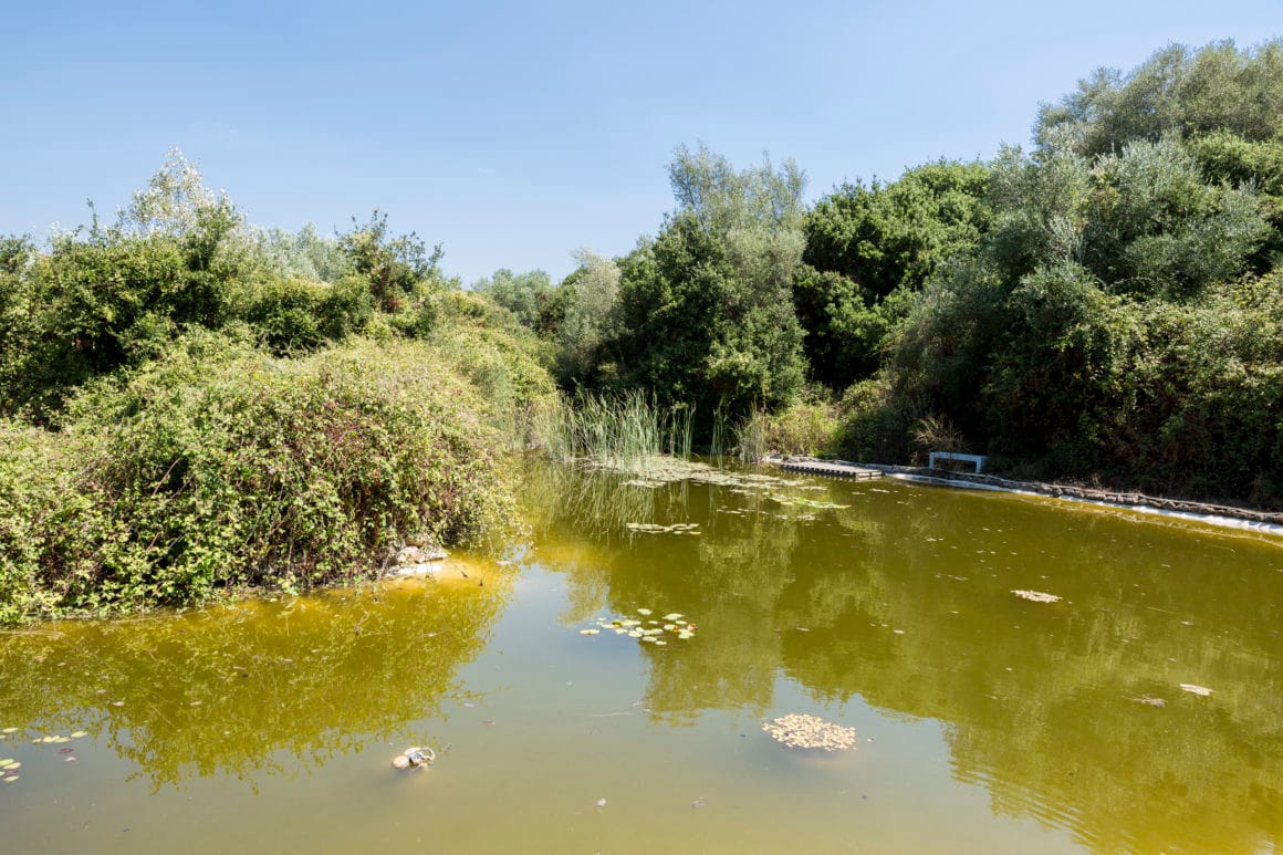 botanical_gardens_argostoli