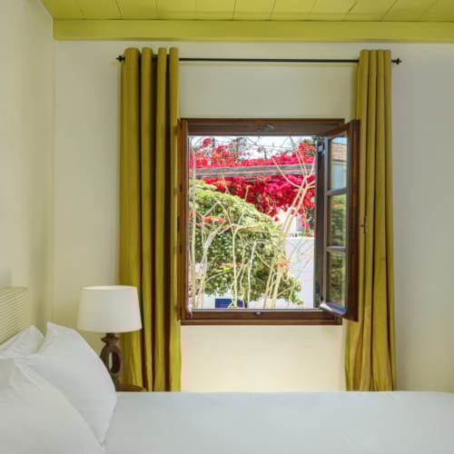 a window with a tree outside