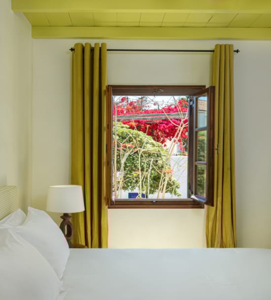 a window with a tree outside