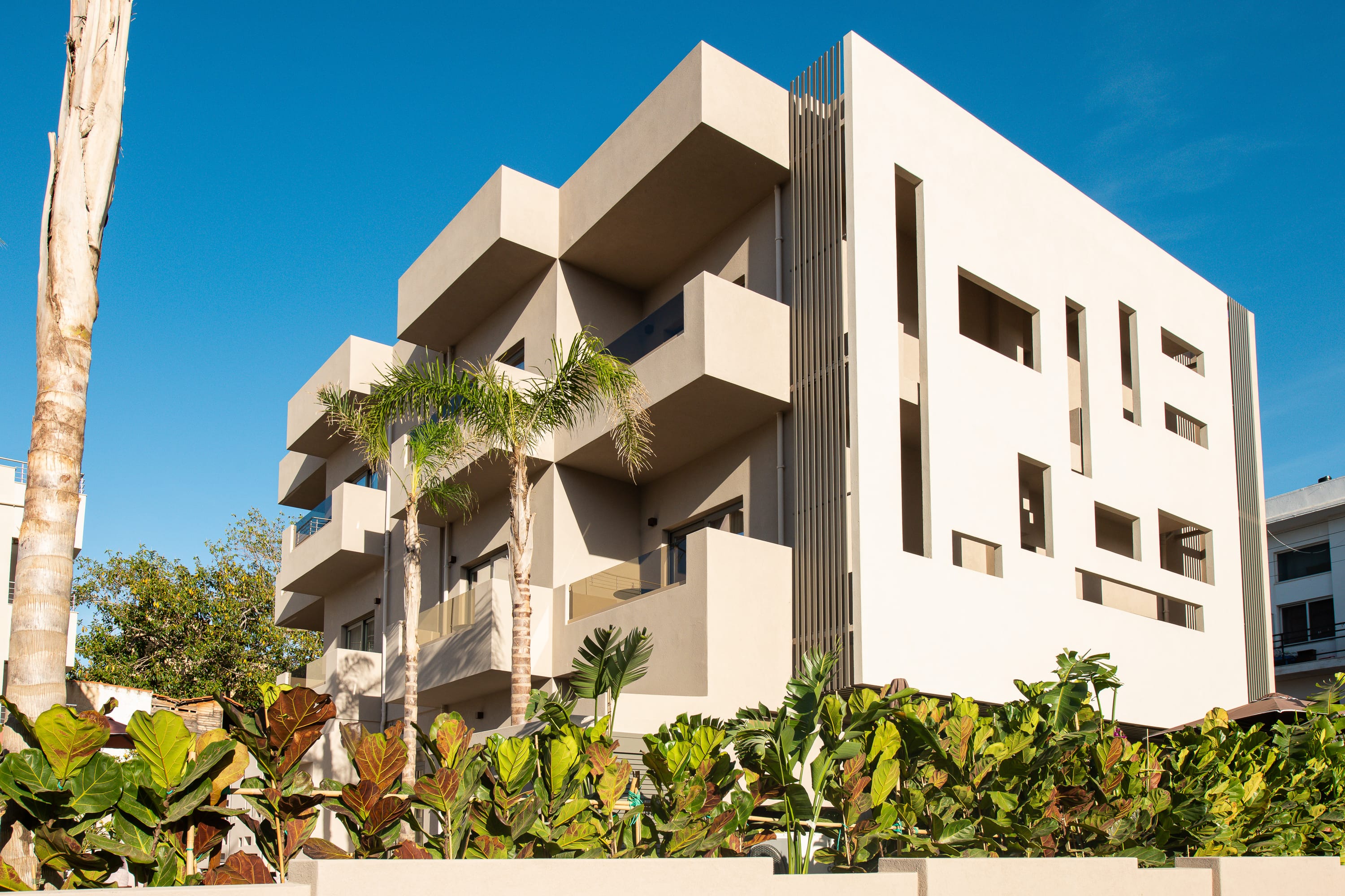 a white building with palm trees