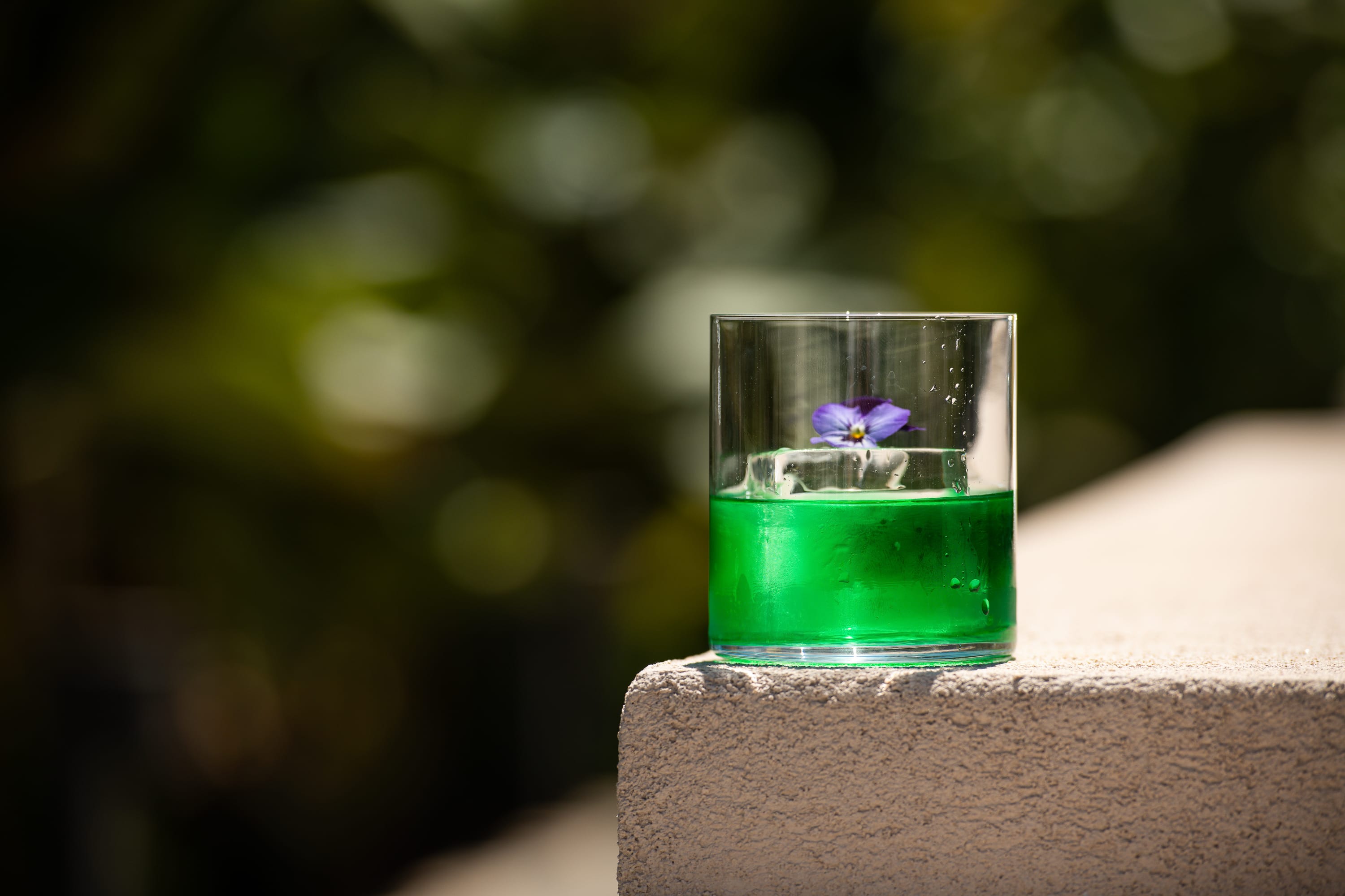 a glass with a flower in it