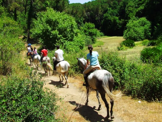 people riding horses on a trail
