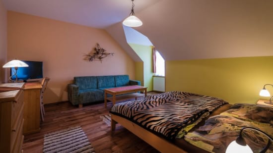 a bedroom with a bed and a desk