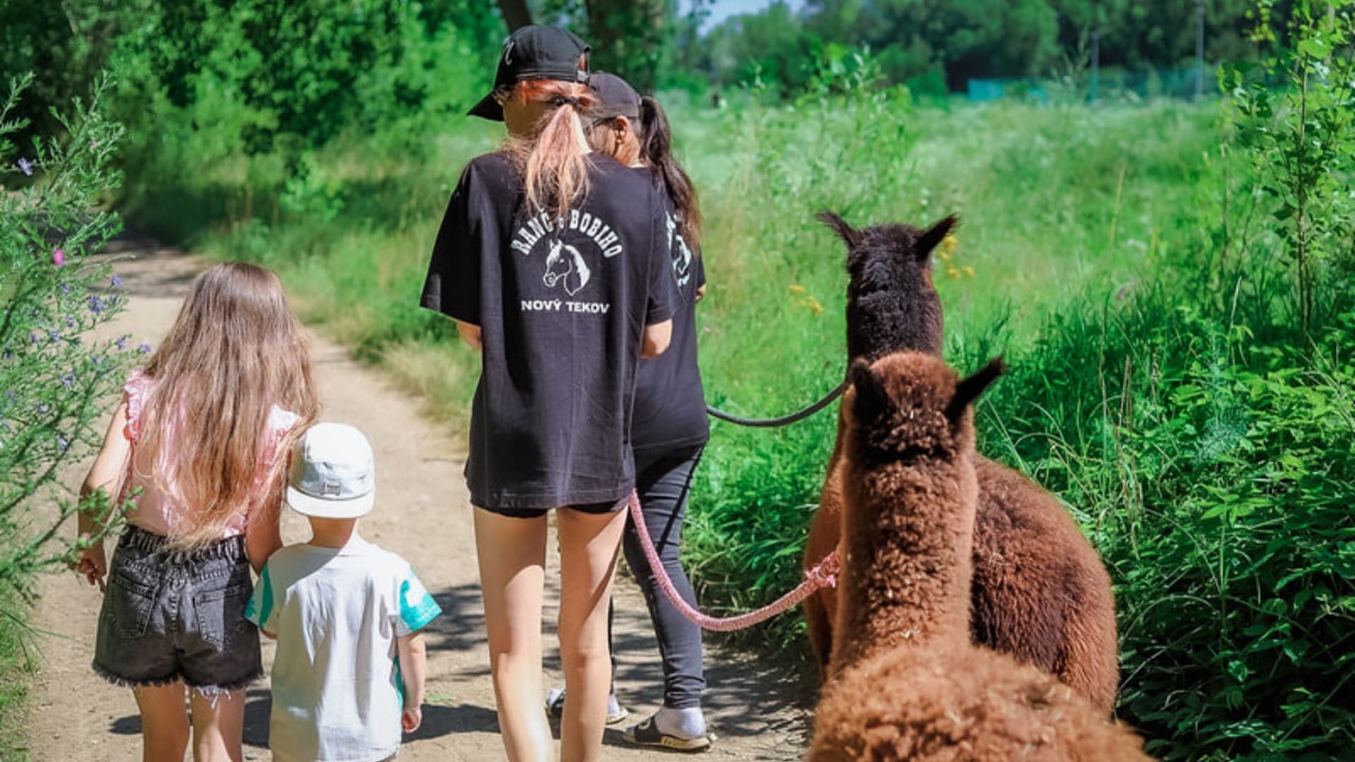 a group of people walking with a camel