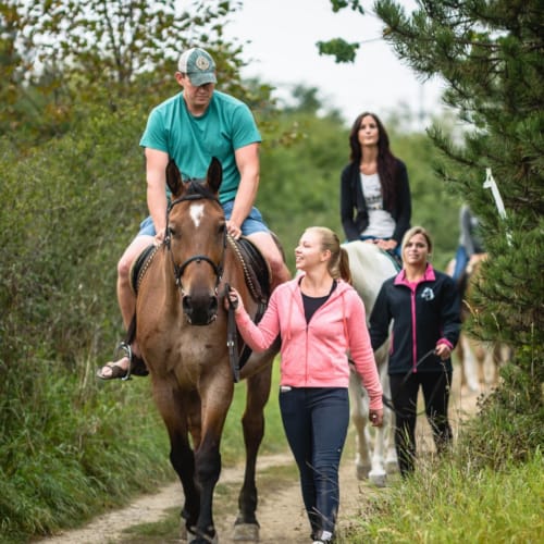 a group of people walking a horse