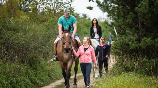a group of people walking a horse