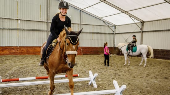 a person riding a horse