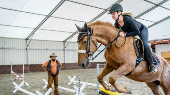 a person riding a horse